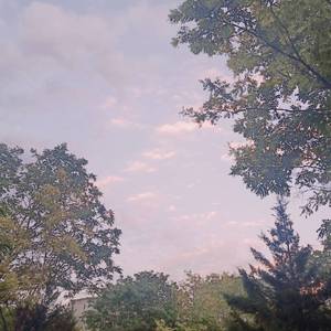 初中生女孩与男孩做爱视频
